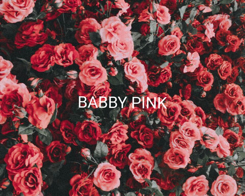 babbypink onlyfans leaked picture 2