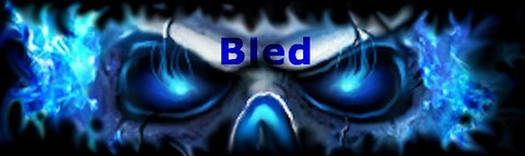 bled_xxx onlyfans leaked picture 2