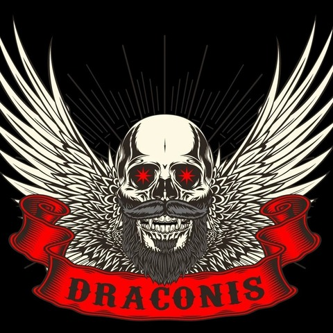draconis_of_rogues onlyfans leaked picture 2