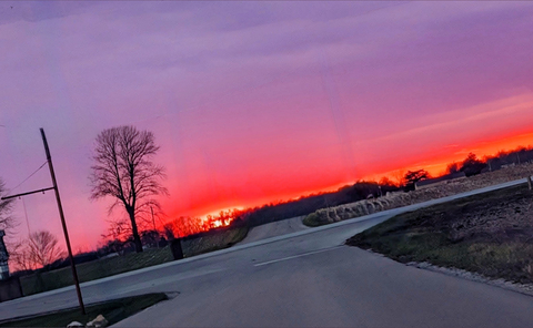 iriswild onlyfans leaked picture 2