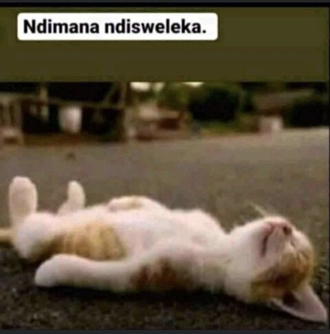 just_dee onlyfans leaked picture 2