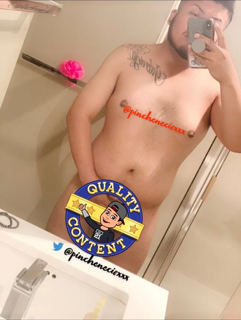 pinchenecio onlyfans leaked picture 2