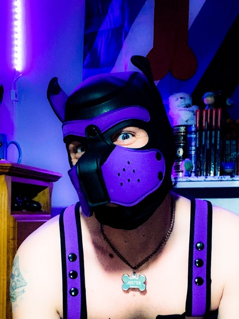 pup-jester onlyfans leaked picture 2