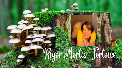 rigor_mortis_tortoise onlyfans leaked picture 2