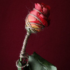 roseisrose avatar