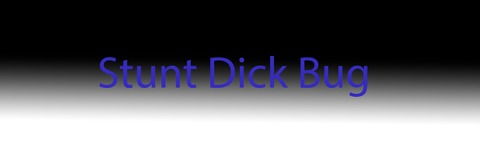 stuntdickbug onlyfans leaked picture 2