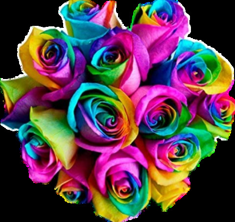 toes4bros onlyfans leaked picture 2