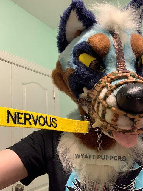 wyattpuppers onlyfans leaked picture 2