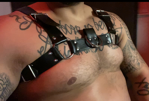 xolotf1 onlyfans leaked picture 2